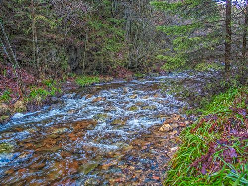 groene natuur met stromend rivier. Prachtige landschap