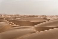 Mer de dunes dans le désert | Mauritanie par Photolovers reisfotografie Aperçu