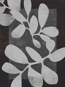 Floral X Ray