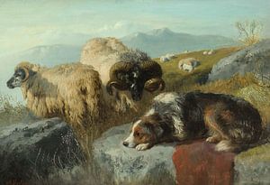 George William Horlor, Schafe und Schäferhunde im Hochland