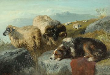 George William Horlor, Schapen en schapenhond in hooglanden