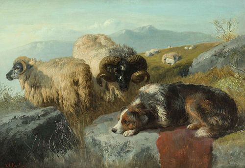 George William Horlor, Schapen en schapenhond in hooglanden