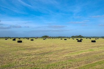 Meadow with blue sky and hay bales sur Ronald Smits