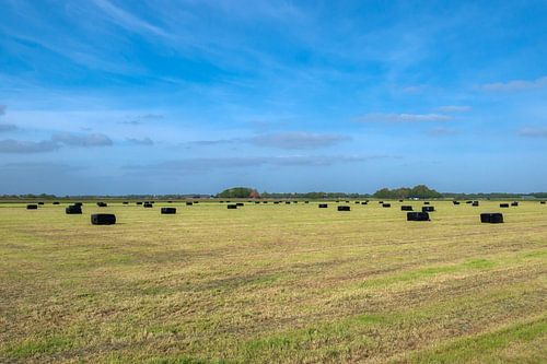 Weiland met strobalen en blauwe lucht