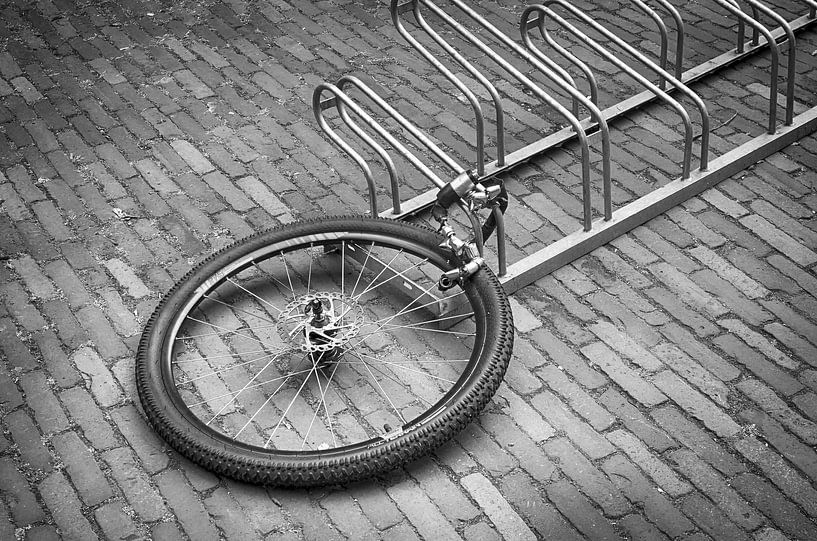 Partial bicycle by Mark Bolijn
