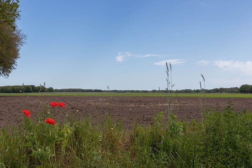 Groningen und Drenthe Veenkoloniën von Johan Mooibroek