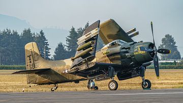 U.S. Air Force Douglas A-1D Skyraider. van Jaap van den Berg