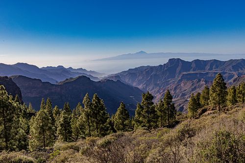 Parque Rural del Nublo