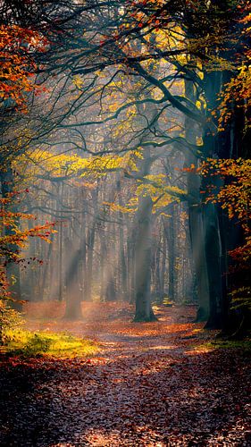 Shine a light on me..........