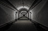 Bunker Hallway by Erik Bravenboer thumbnail