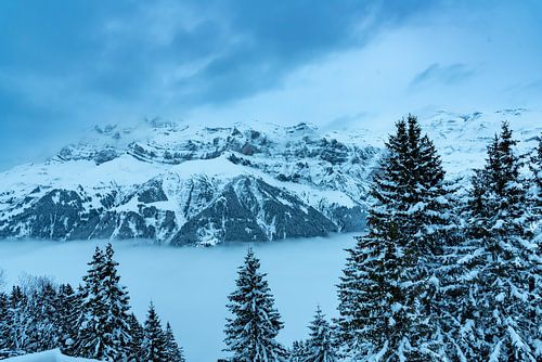 Nebel in einem Tal in den Schweizer Alpen