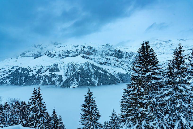 Mist in een dal in de Zwitserse Alpen van Mike Maes