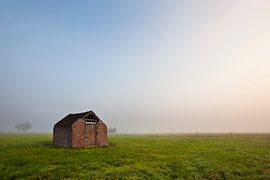 Lonely dilapidated shed near Roderwolde, The Netherlands by Peter Bolman