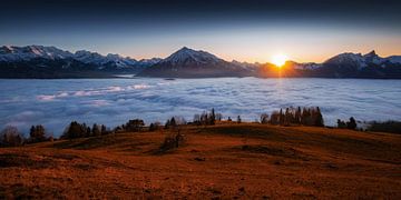 NEBELMEER SONNENUNTERGANG von Simon Schuhmacher