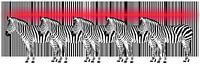 Zebras on a barcode by Monika Jüngling thumbnail