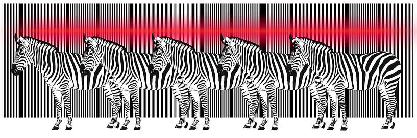 Laserstraal op een Zebra Barcode van Monika Jüngling