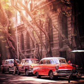 Afternoon in Havana by Anajat Raissi