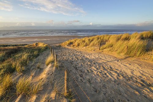 Duin en strand aan de kust van Nederland