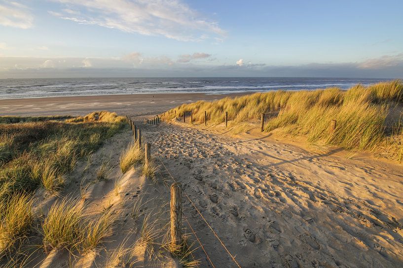Dunes and beach on the coast of the Netherlands by Dirk van Egmond