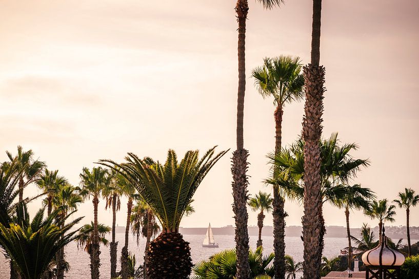 Sailing boat among palm trees at sunset by Nederlandschap