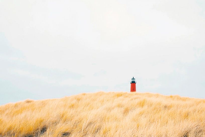 Pré du phare par Poster Art Shop