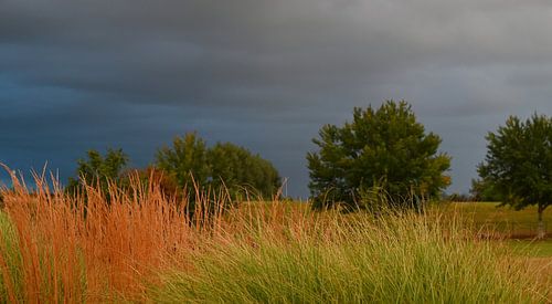Storm light across the field by Jose Lok