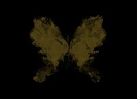 L'art des papillons sombres