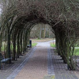 See-through by Harrie Dusseljee