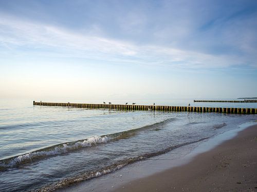 Oostzeestrand met strandhoofden