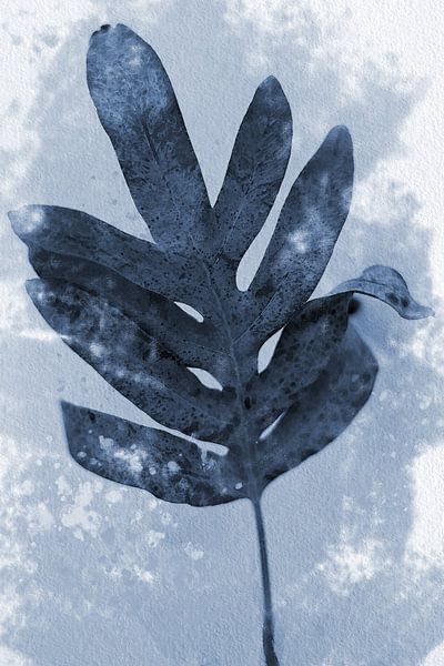 Fern leaf in blue and white. Modern botanical art in retro style by Dina Dankers