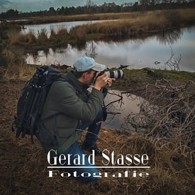 Gerard Stasse Fotografie profielfoto