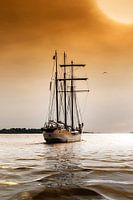 Sunset sailing Hamburg