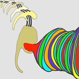 Lisa van der Breggen Profilfoto