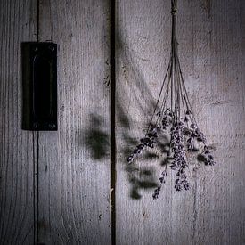 still life with lavender by Ellen Gerrits