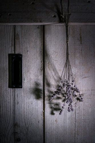 still life with lavender