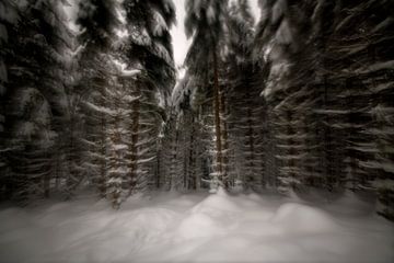 La Forêt-Noire sous la neige sur Oliver Lahrem