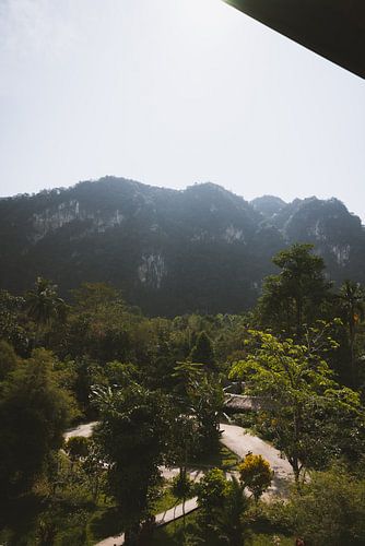 Explorer les hautes falaises et les rivières à Khao Sok, Thaïlande