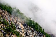 Brouillard sur les flancs d'une montagne par Anton de Zeeuw Aperçu