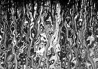 Reflexion im Wasser