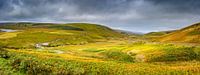 Lappendeken van grassen en mossen, heuvellandschap Wales van Rietje Bulthuis thumbnail