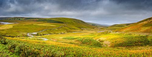 Lappendeken van grassen en mossen, heuvellandschap Wales