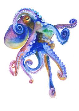 Blauwe zee-octopus van Isabelle Brent