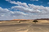 The colours of Erg Chebbi by Peter Vruggink thumbnail