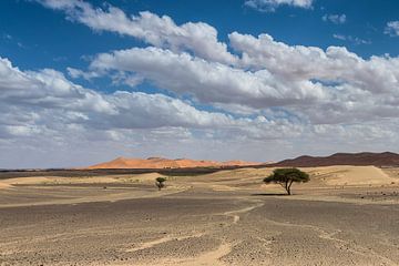 The colours of Erg Chebbi by Peter Vruggink