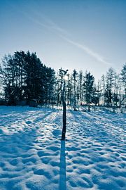 Winterliche Sonnenuhr von Bernd Tollkühn