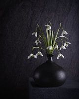 Stilleven, Sneeuwklokjes (Galanthus nivalis)
