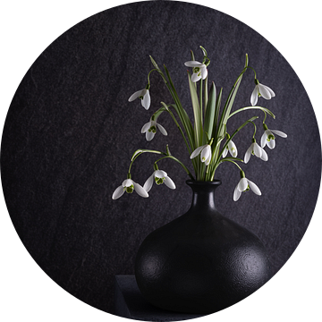 Stilleven, Sneeuwklokjes (Galanthus nivalis) van Oda Slofstra