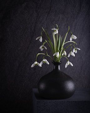 Stilleven, Sneeuwklokjes (Galanthus nivalis) van Oda Slofstra