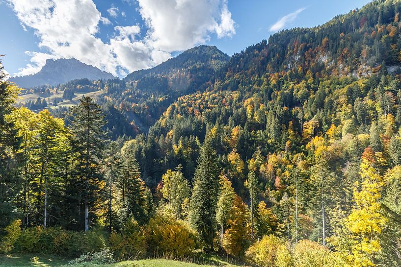 Beautiful autumn colors in the mountains of Switzerland by Menno Schaefer