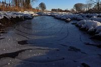 Froid